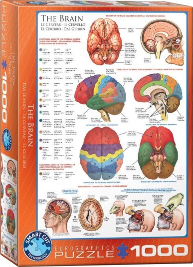 Eurographics Puslespill - 1000 brikker - The Brain