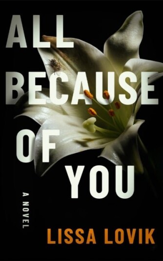 All Because of You All Because of You