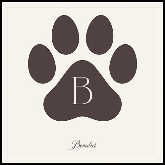 Dog"s name Personal Plakat Plakat / 50x50cm Dog"s name Personal Plakat Plakat / 50x50cm