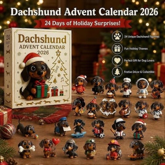 2026 3D Dachshund julekalender festlig nedtelling dekorasjon