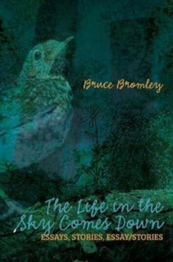 The Life in the Sky Comes Down The Life in the Sky Comes Down