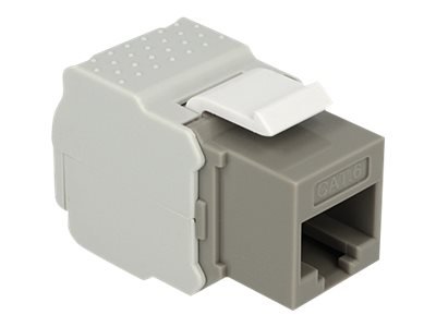 Delock Keystone Module Modulinnlegg Cat 6 Utp Rj-45 Grå