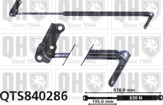 QUINTON HAZELL QTS840286 Baklukedemper