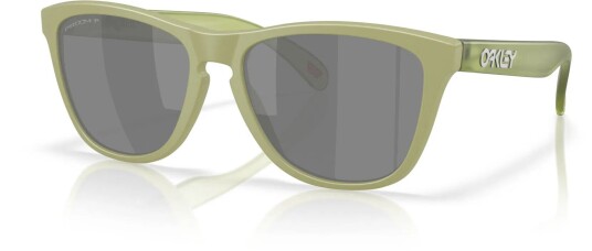Oakley Frogskins m/PRIZM Black Polarized