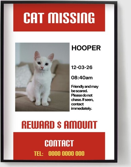 Personalisert Plakat Savnet Katt Plakat