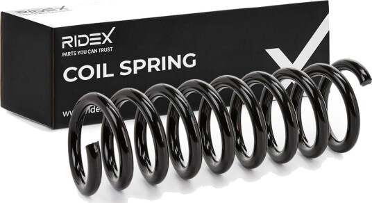 RIDEX 188C0170 Fjær