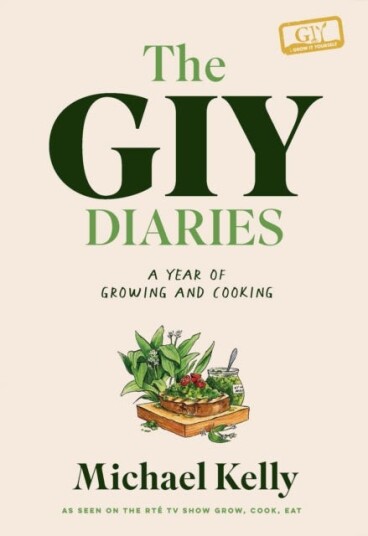 The Giy Diaries Av Michael Kelly