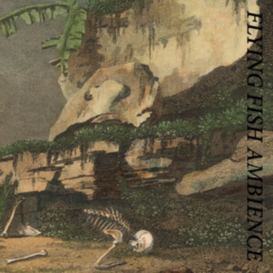 Rainforest Spiritual Enslavement Flying Fish Ambience CD