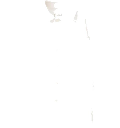 Mango Cotton Poplin Shirt   White   110