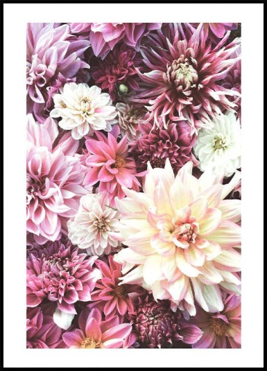 Flowers in Pink Plakat Plakat / 70x100cm