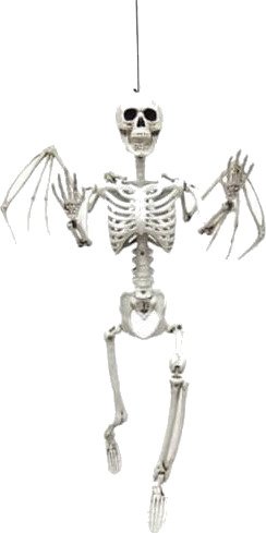 Det Gamle Apotek Halloween Skjelett med vinger - 90 cm Det Gamle Apotek Halloween Skjelett med vinger - 90 cm
