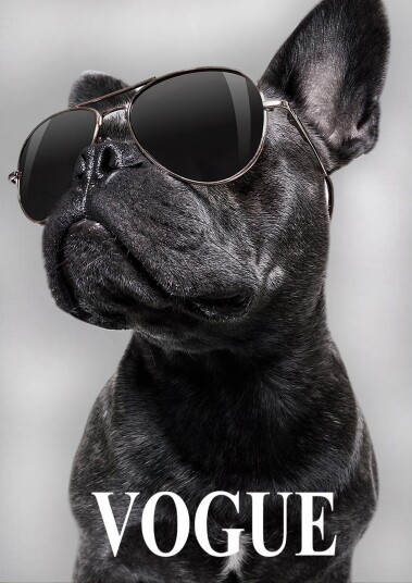 Vogue Hund Veggplakat Vogue Hund Veggplakat
