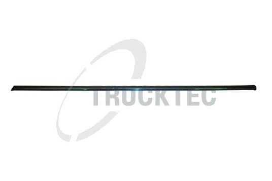 Pynte / beskyttelseslist dør TRUCKTEC AUTOMOTIVE 02.52.108