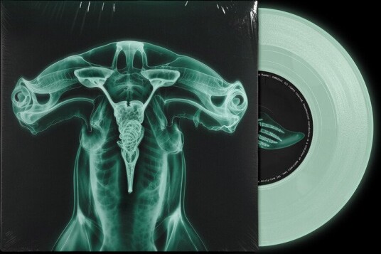 Shark Brain Dolphin Usa Vinyl
