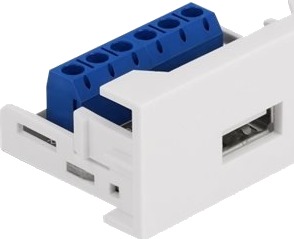 Delock Easy 45 USB trykklåsmodul hvit
