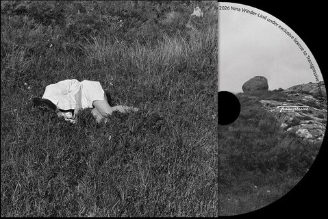 Nina WinderLind Wild Love CD