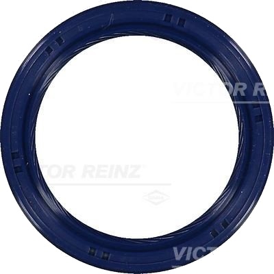 REINZ 81-53699-00 Simring, veivaksel