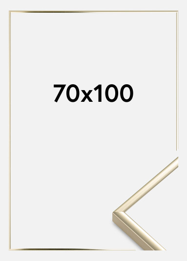 Ellos Estancia Ramme Aluminium Akrylglass Blank Gull 70x100 Cm 1613138-01-349 1613138-01-48 Ellos Estancia Ramme Aluminium Akrylglass Blank Gull 70x100 Cm 1613138-01-349 1613138-01-48