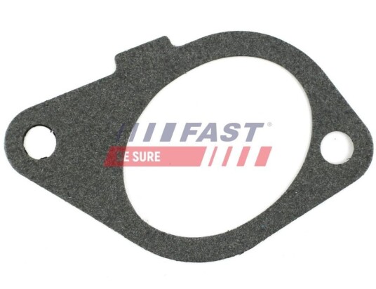 Tetning innsugningsmanifold FAST FT49433