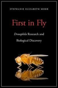 First In Fly Av Stephanie Elizabeth Mohr