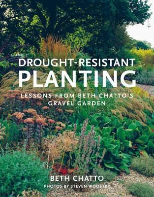 DroughtResistant Planting Lessons from Beth Chatto's Gravel Garden