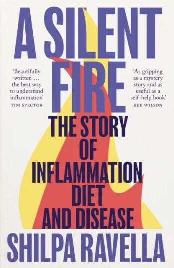 A Silent Fire Av Shilpa Ravella