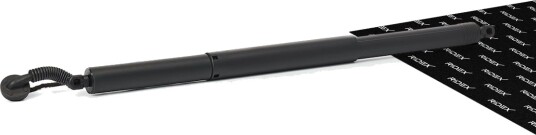RIDEX 219G1697 Baklukedemper