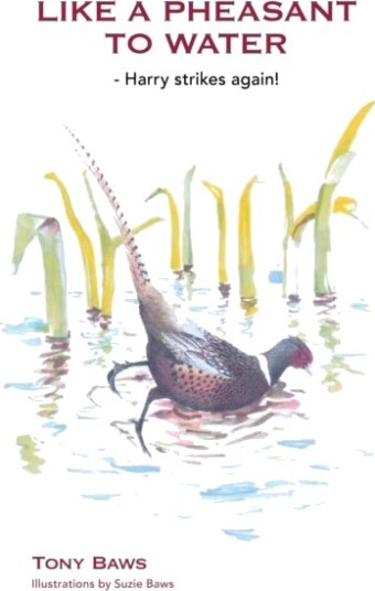 Like a Pheasant to Water Like a Pheasant to Water