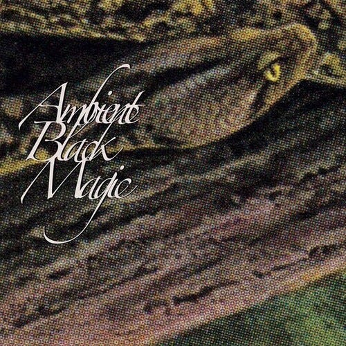 Rainforest Spiritual Enslavement  Ambient Black Magic  LP/Vinyl