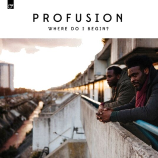 Profusion Where Do I Begin Uk Vinyl