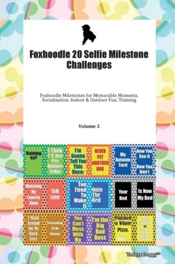 Foxhoodle 20 Selfie Milestone Challenges Foxhoodle Milestones for Memorable Moments, Socialization,