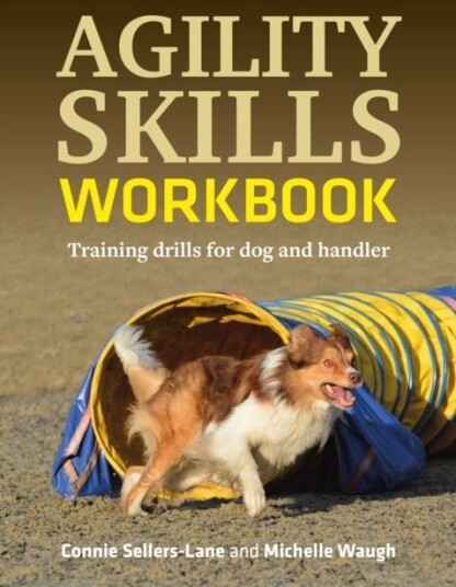 Agility Skills Workbook