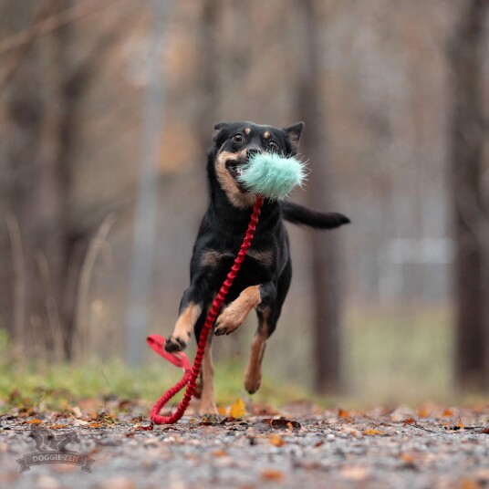 Doggie-Zen Doggie-Zen Langhåret Elastisk Belønningsleke I Fuskepels S