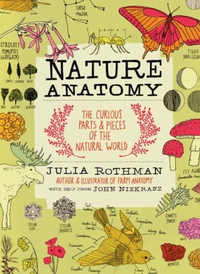 Nature Anatomy Av Julia Rothman
