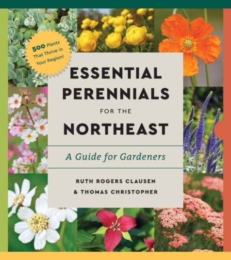 Perennials for the Northeast