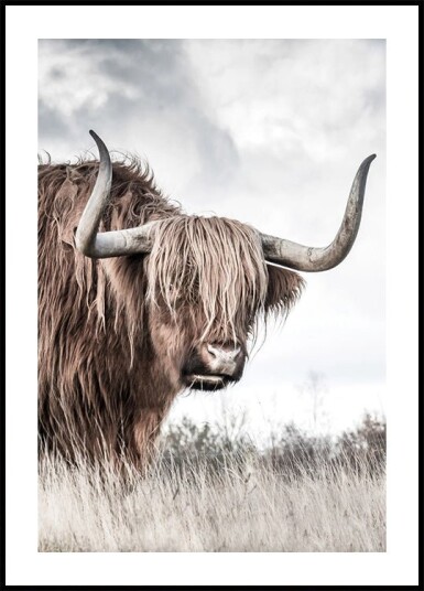 Winter Highland Cow Plakat Plakat / 40x50cm Winter Highland Cow Plakat Plakat / 40x50cm