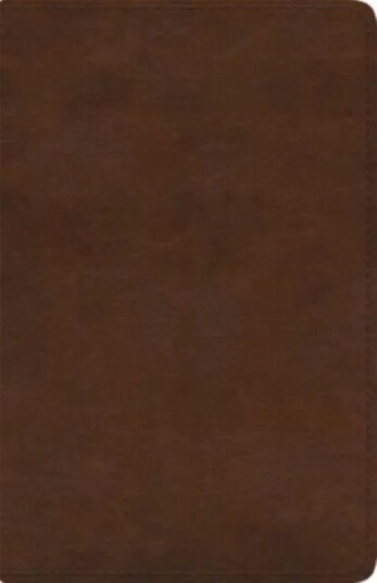 ESV Spanish/English Parallel Bible ESV Spanish/English Parallel Bible