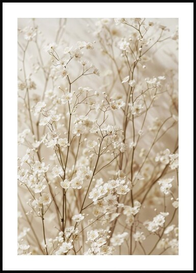 Gentle Bloom: Dried White Baby’s Breath Plakat Plakat / 70x100cm