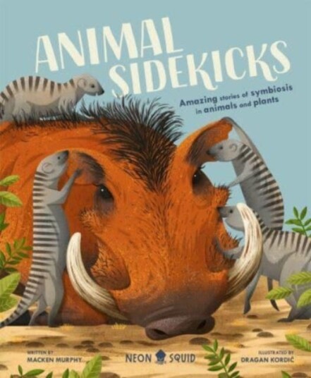 Animal Sidekicks Av Macken Neon Squid, Murphy