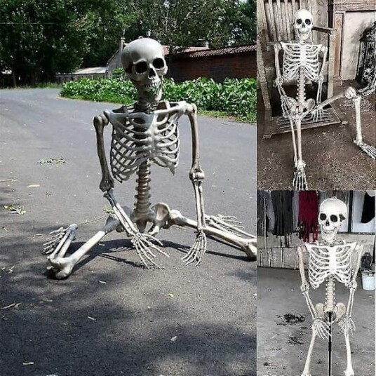 Halloween Skjelett i Full Størrelse med Bevegelige Ledd JSR