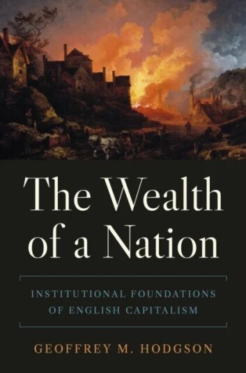The Wealth Of A Nation Av Geoffrey M. Hodgson