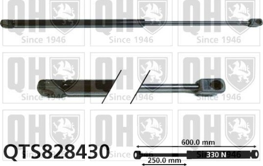 QUINTON HAZELL QTS828430 Baklukedemper