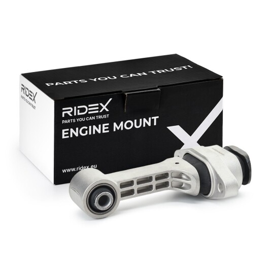 Motorfeste RIDEX 247E0999