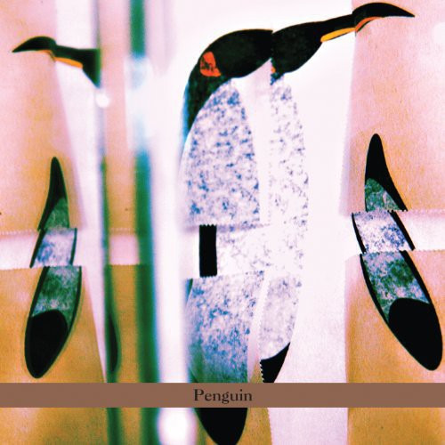 Haggai Cohen Milo Penguin CD