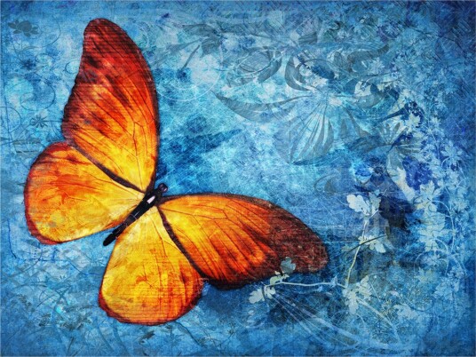 Fototapet Fiery Butterfly 250x193 - Artgeist sp. z o. o.