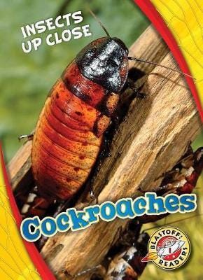 Cockroaches Cockroaches