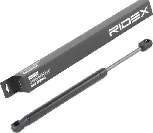 RIDEX 219G0898 Baklukedemper RIDEX 219G0898 Baklukedemper
