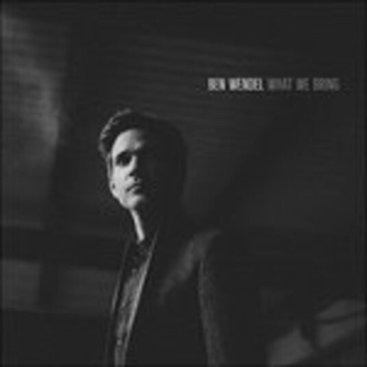 Ben Wendel What We Bring (Bonus Track) CD Ben Wendel What We Bring (Bonus Track) CD