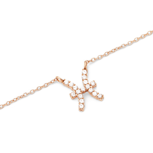 Daniel Wellington DW Zodiac Aquarius Rose Gold