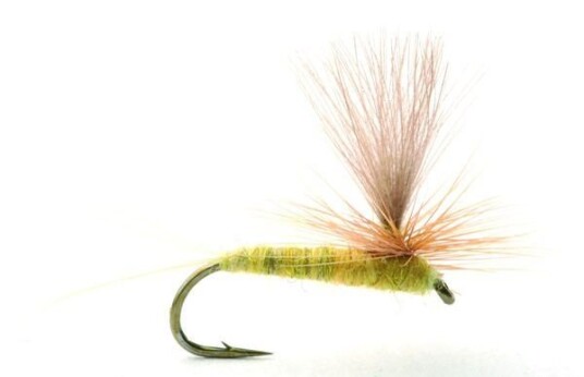 Umpqua Flies Sulphurea #12 Kvalitetsfluer Fra Kjente Leverandører Light Green/yellow